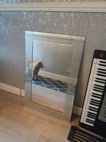 mirror