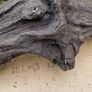 Collection of 4 Ancient Irish Bog Oak Pieces Image 8