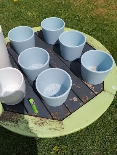 collection of flowerpots