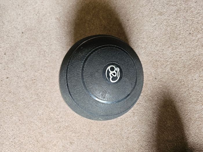 10kg Slamball