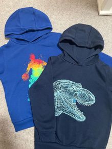 Hoodie Jumper x 2 (7-8yrs)