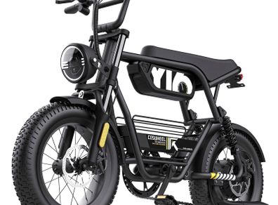 Coswheel Y16 Electric Bike