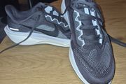 Mens Nike Pegasus Running shoes