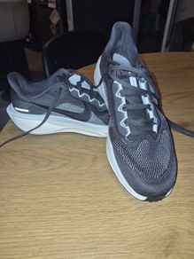Mens Nike Pegasus Running shoes
