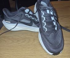 Mens Nike Pegasus Running shoes