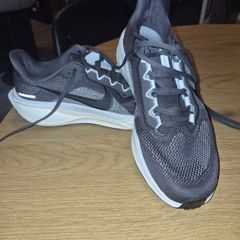 Mens Nike Pegasus Running shoes