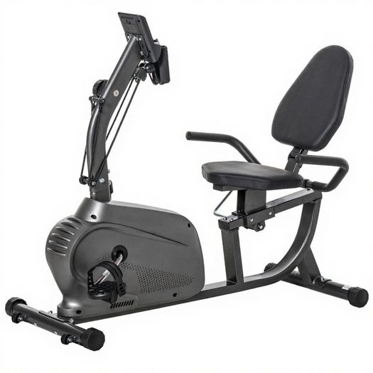 Recumbent Exercise Bike