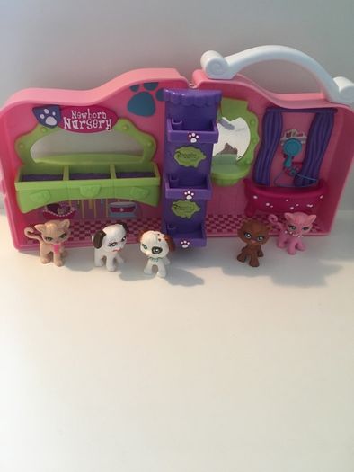 animal vet