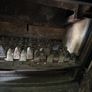 stove Image 8