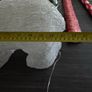 Outdoor polar bear Image 6