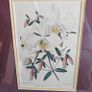Antique Pair of Botanical Art Prints Image 2