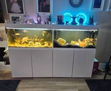 fish tanks