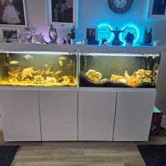 fish tanks