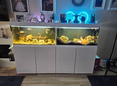 fish tanks