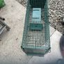 Trap cage Image 2