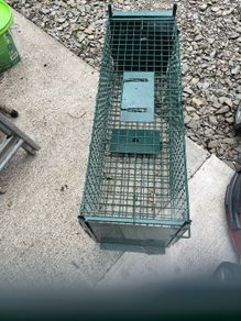 Trap cage
