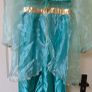 Jasmine costume Image 2