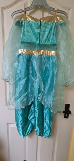 Jasmine costume