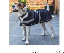 Brand New Dog Zoon Waterproof Comfort Coat