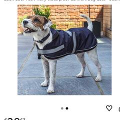 Brand New Dog Zoon Waterproof Comfort Coat