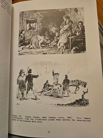 The Abandoned Mines Of West Carbery. Promoters Adventurers And Miners. By D. Cowman And T.a.reilly. First Edition Large Volume Paperback In Good Condition.  See Photos For Same.