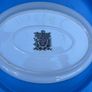 Portmeirion platter Image 3