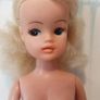 Sindy Doll Image 7