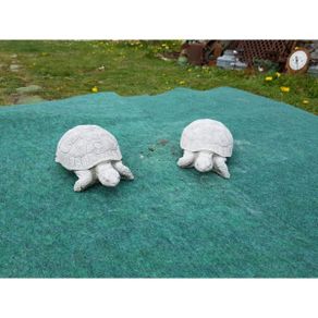 Turtle  Small-GL-SA030