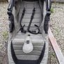 buggy Image 2
