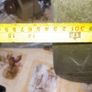 Old Green Military Steel Jerry Can with Crows Foot Stamp, Image 9