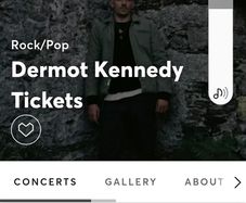 Dermot Kennedy Tickets x2