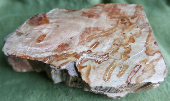 Dolomite Slab Rolling Hills Dolomite