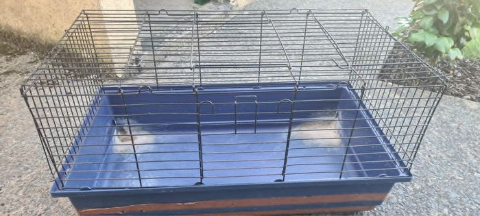 Rabbit/Guinea Pig cage & accessories