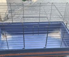 Rabbit/Guinea Pig cage & accessories
