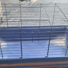 Rabbit/Guinea Pig cage & accessories