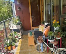 Outdoor Rug