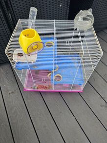 hamster cage