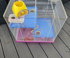 hamster cage