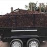 Bark mulch Image 9