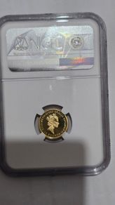 gold coin