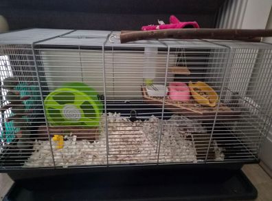 hamster cage