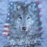 The Mountain Wolves Tie Dye T-Shirt 2XL xxl Image 2