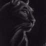 art Image 2