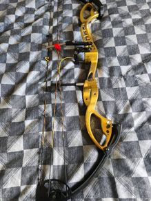 PSE Compound bow
