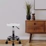 Ergonomic Rolling Work Stool Adjustable Seat Image 4