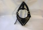 X large studded dog harness