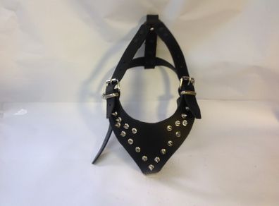 X large studded dog harness