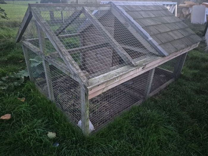 Chicken Coop, Rabbit Hutch