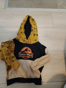 boys Jurassic park hoodie