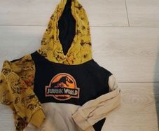 boys Jurassic park hoodie